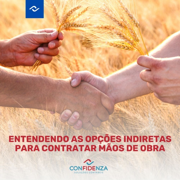 Entendendo as Opes Indiretas para contratar Mos de Obra.