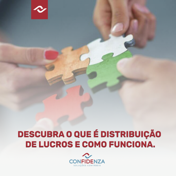 Descubra o que  distribuio de Lucros e como ela funciona.