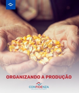 Organizando a Produo